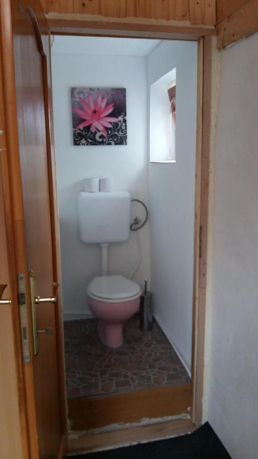 Apartament Kamilla Vendeghaz Écs Zewnętrze zdjęcie